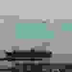 ni3