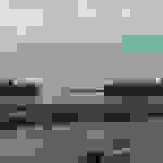 ni4