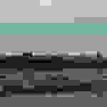 ni8