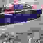 sam10