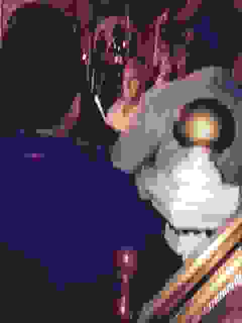 sam10