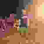 sam1