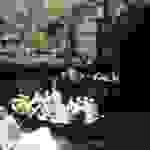 sam1