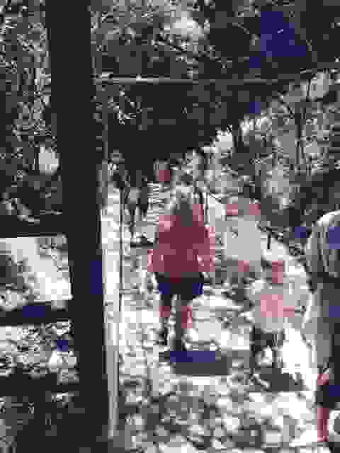 sam12