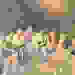 sam12