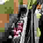 sam12
