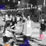 sam13