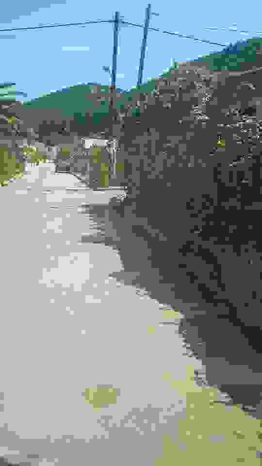 sam13