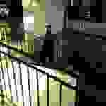 sam13
