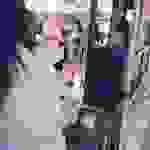sam14