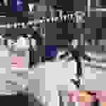 sam15