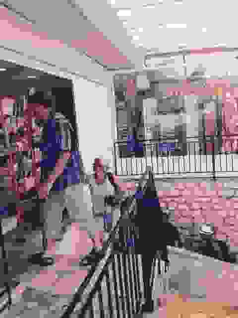sam16