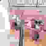 sam17