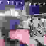 sam20