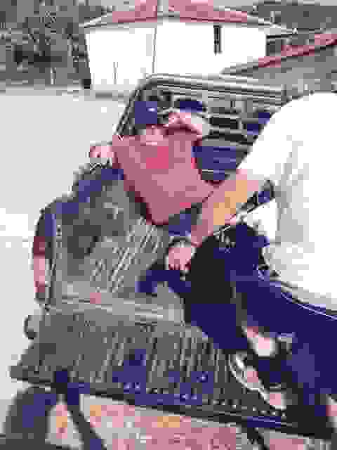 sam2