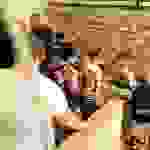 sam2