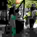 sam2