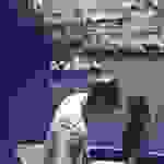 sam2