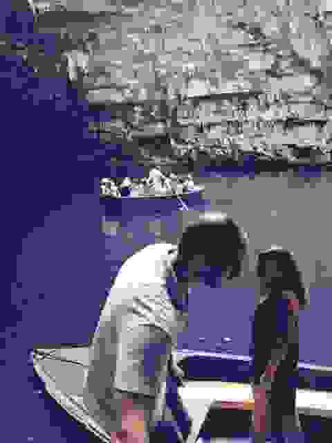 sam2
