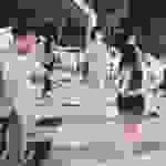 sam23