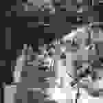 sam27