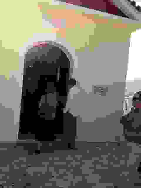 sam3