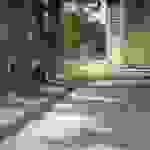 sam3
