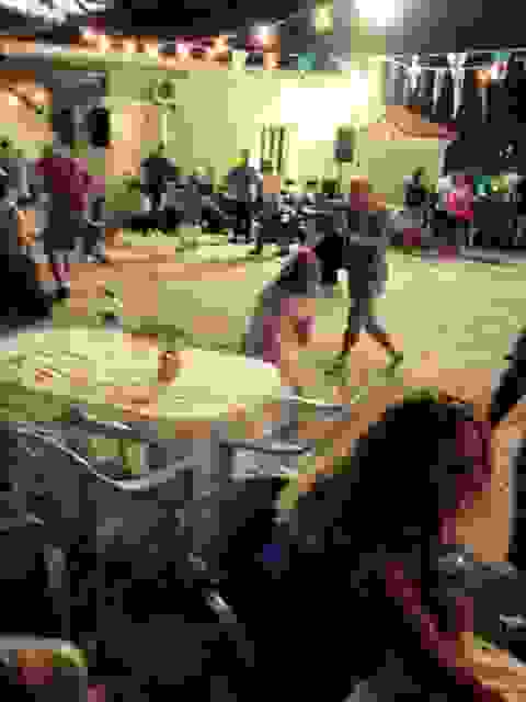 sam3