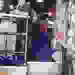 sam3