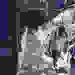 sam33