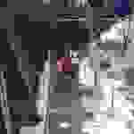 sam35