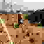 sam3