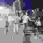 sam37