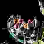 sam4