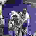 sam5