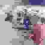 sam52