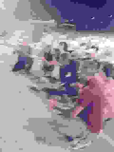 sam52