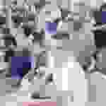 sam5