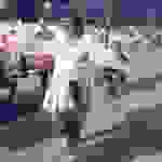 sam53