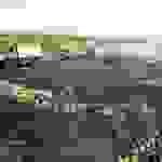 sam6