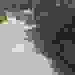 sam6