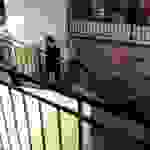 sam6