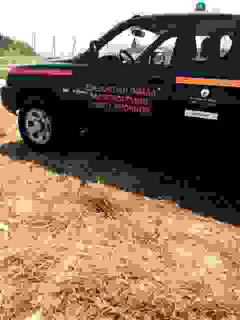 sam7