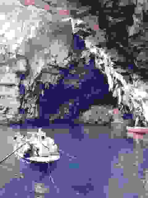 sam8