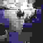 sam8