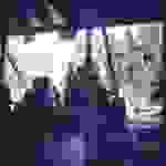 sam8