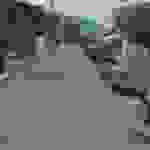 sam8