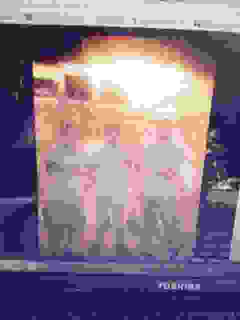 sam9