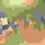 sam9