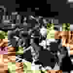 sam93